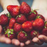 The Health Benefits of Strawberries Why You Should Add Them to Your Diet