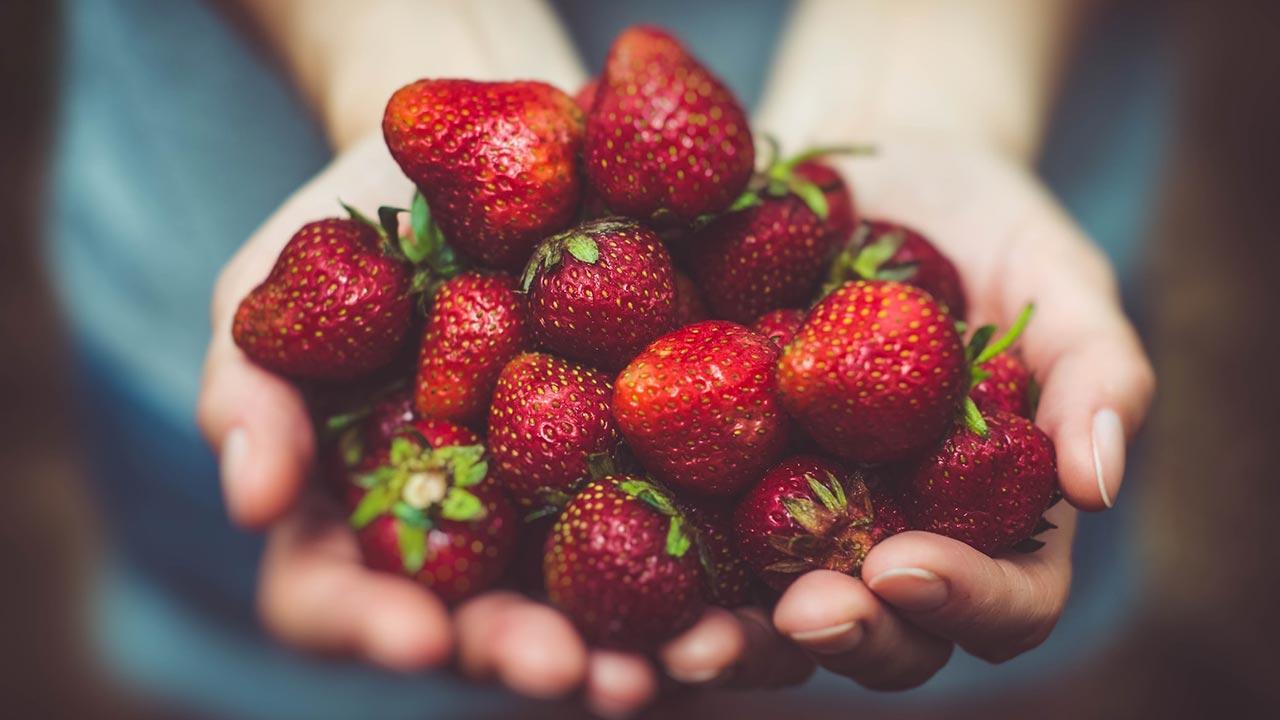 The Health Benefits of Strawberries Why You Should Add Them to Your Diet