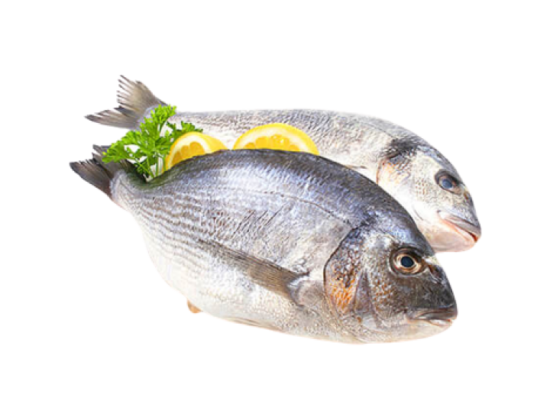 Fresh Coral Fish