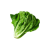 product_6