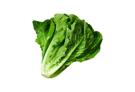 Organic Broccoli