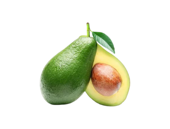 Avocado Fruit