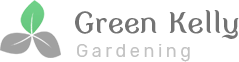 logo1.png