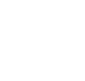 element_16