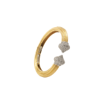 Cactus Cartier Earrings