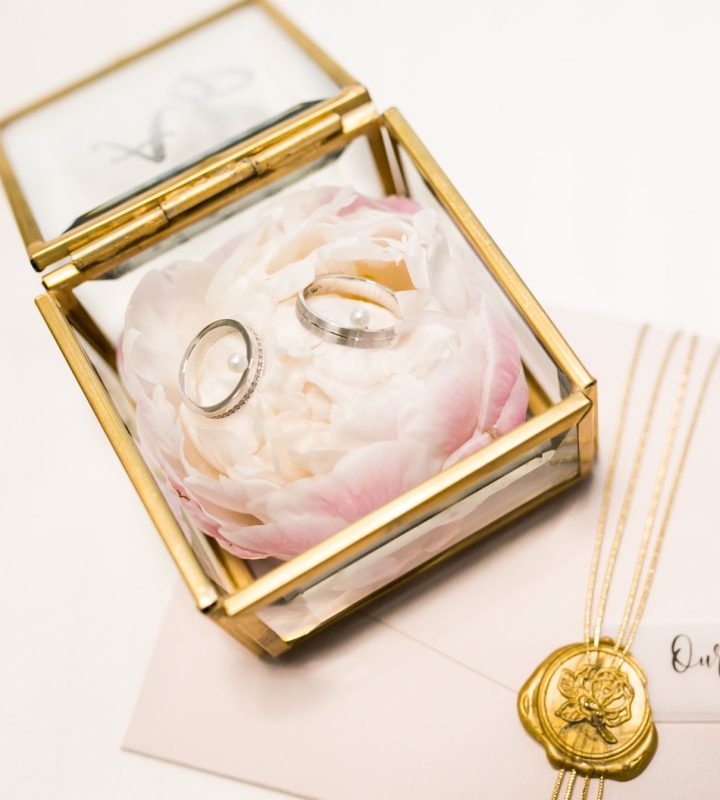 Agrafe Dimond Necklace