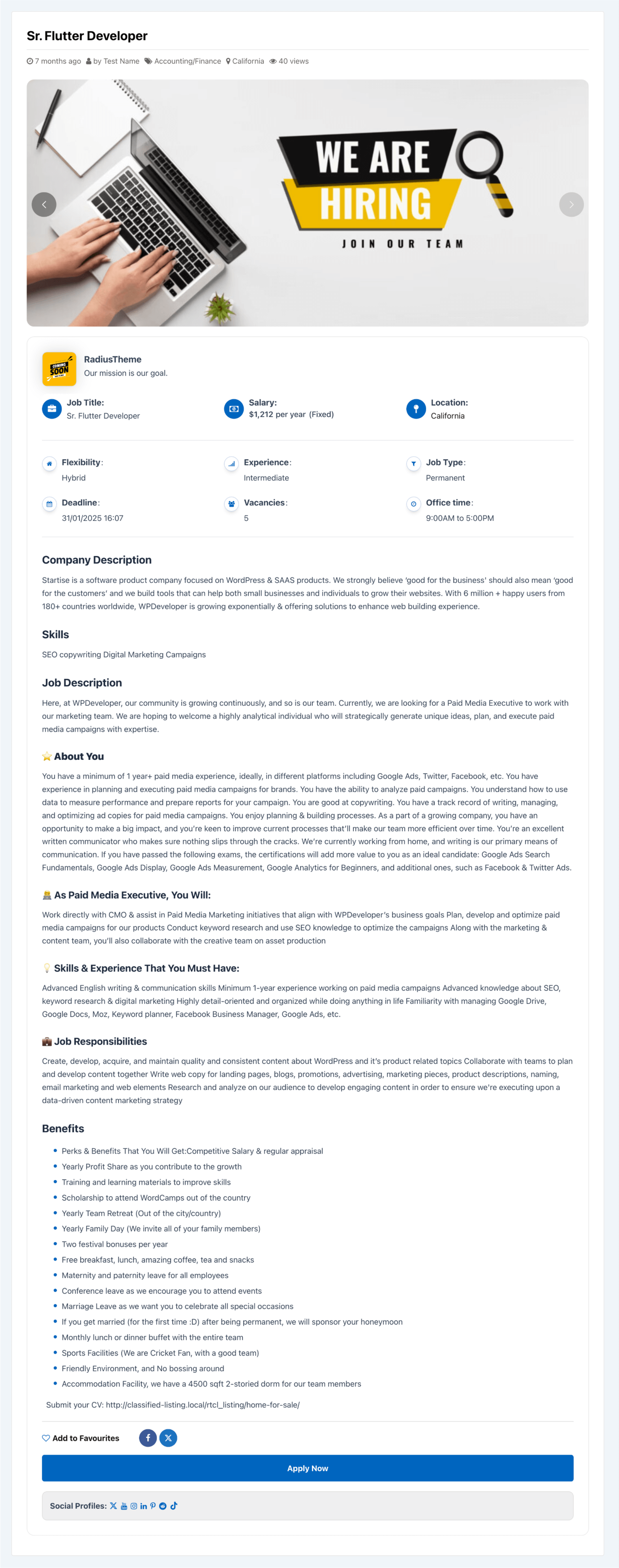 Job View Page Design Job Details Page โ All Classified Listing Addons
