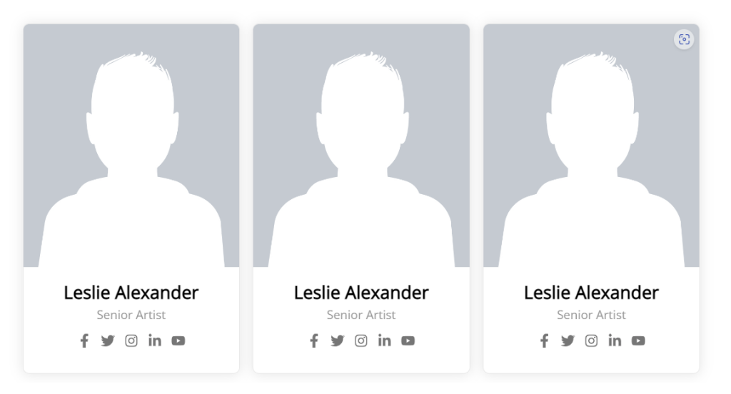 Team Member – Radius Blocks – Documentation