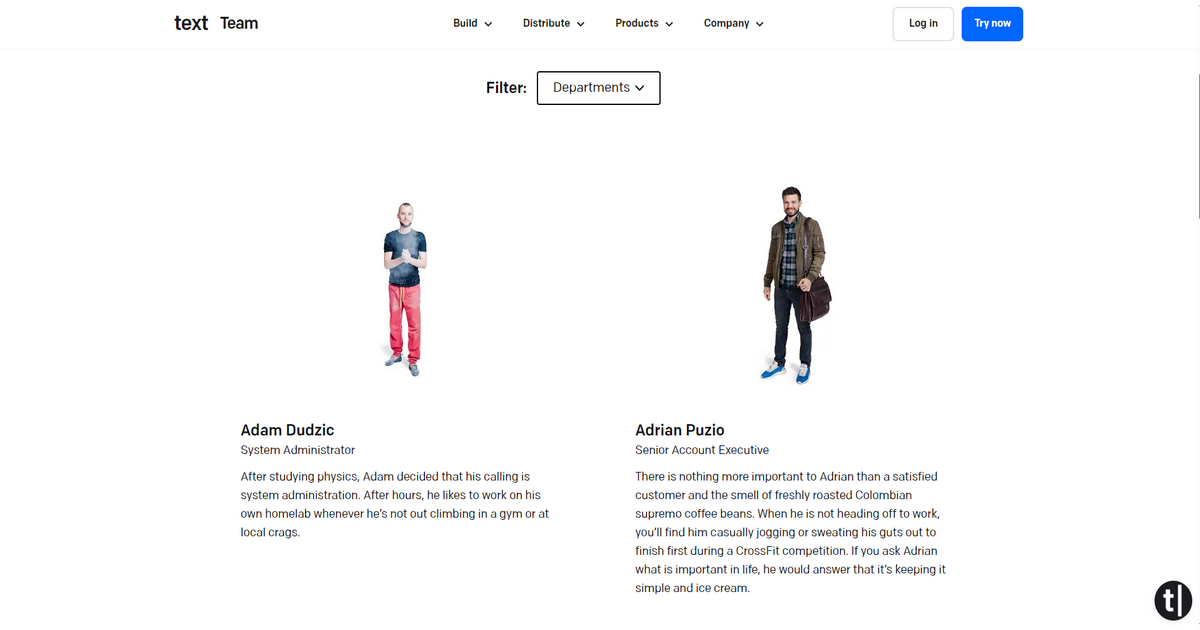 Text team page example