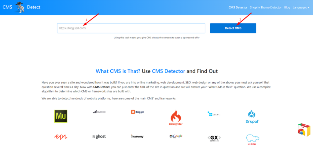 CMS Detect Homepage