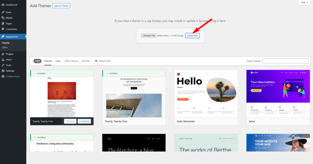 Choose the theme and click the Install Now button