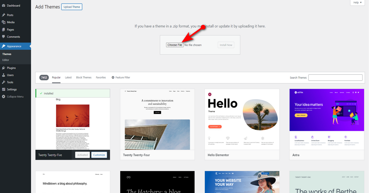 Click choose file button