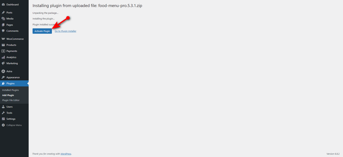 activate plugin