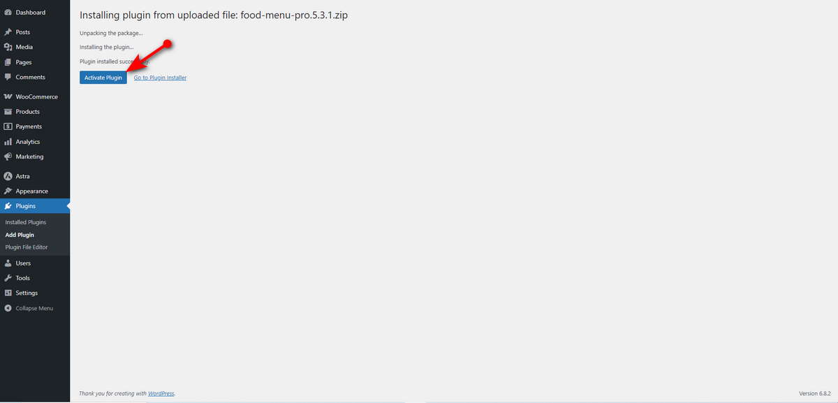 click on activate plugin