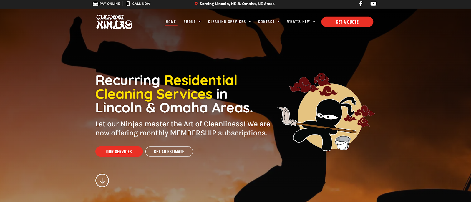 Cleaning Ninjas
