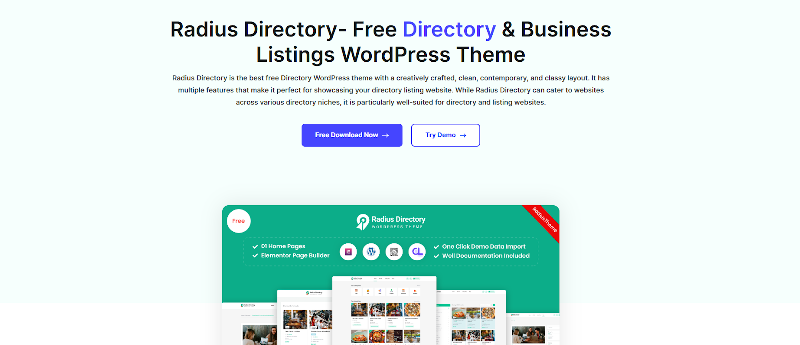 Radius Directory Theme